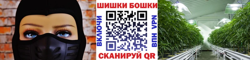 Бошки Шишки ГИДРОПОН  darknet как зайти  Городовиковск 